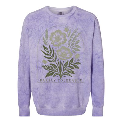 Barely Tolerable Pride And Prejudice Jane Austen Colorblast Crewneck Sweatshirt