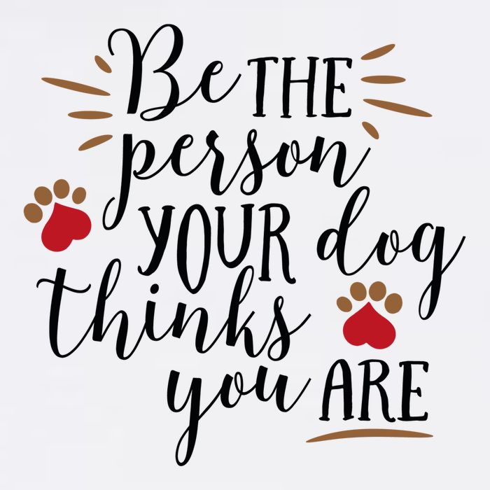 Be The Person Your Dog Thinks You Are Wool Snapback Cap
