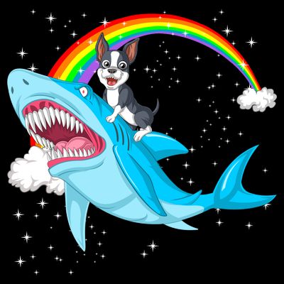 Boston Terrier Riding Shark T-Shirt
