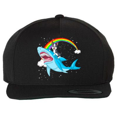 Boston Terrier Riding Shark Wool Snapback Cap