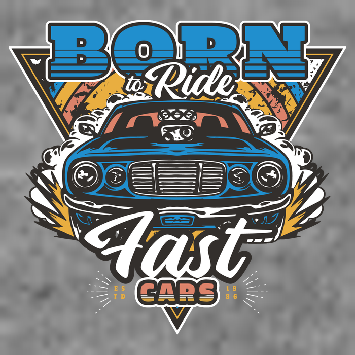 Born To Ride Fast Cars Hoodie