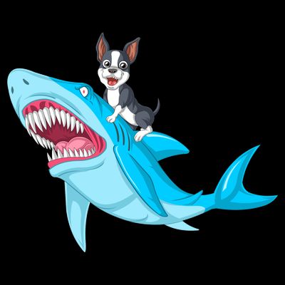 Boston Terrier Riding Shark T-Shirt