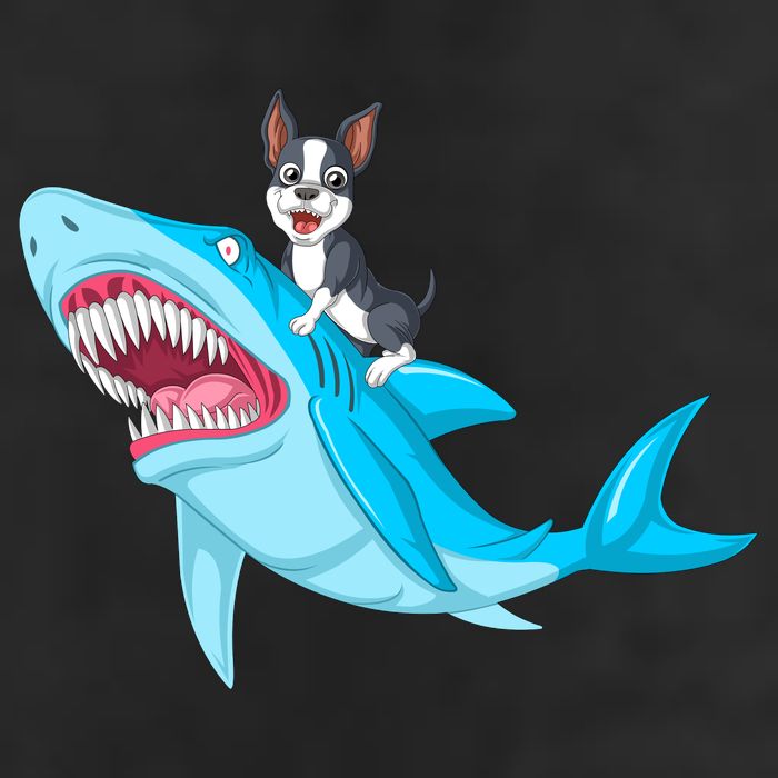 Boston Terrier Riding Shark Adult Drive Performance Visor