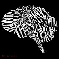Brain Typography Rn Neuroscience Nurse Neurologist Poster