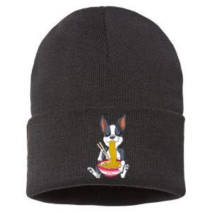 Boston Terrier Ramen Sustainable Knit Beanie