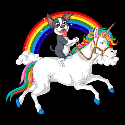 Boston Terrier Riding Unicorn T-Shirt