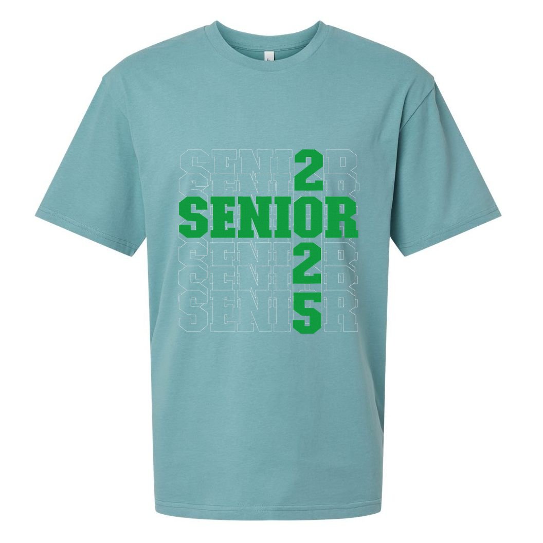 Back To School Officially A Senior Green Senior 2025 Sueded Cloud Jersey T-Shirt