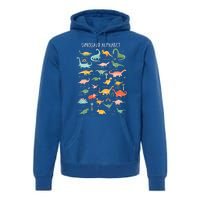 Back To School Types Of Dinosaurs Alphabet Identification Premium Hoodie