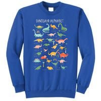 Back To School Types Of Dinosaurs Alphabet Identification Tall Sweatshirt