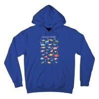 Back To School Types Of Dinosaurs Alphabet Identification Tall Hoodie