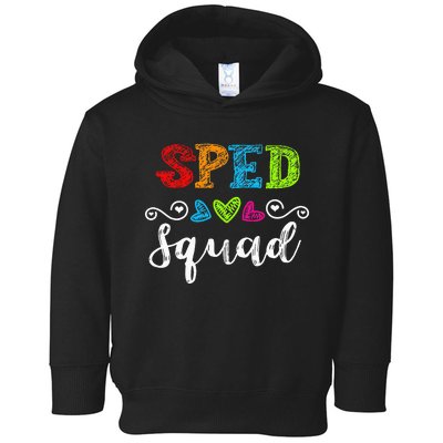 Back To School Team Gift For Special Ed Teacher Sped Squad Toddler Hoodie