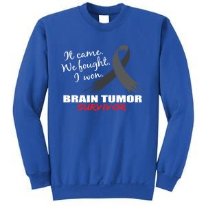 Brain Tumor Survivor Brain Tumor Awareness Meaningful Gift Sweatshirt