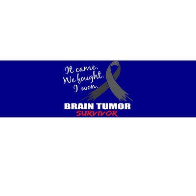 Brain Tumor Survivor Brain Tumor Awareness Meaningful Gift Bumper Sticker