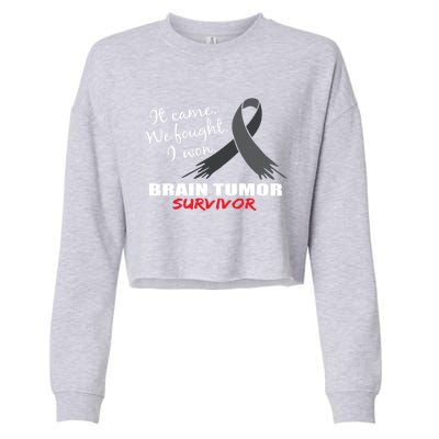 Brain Tumor Survivor Brain Tumor Awareness Meaningful Gift Cropped Pullover Crew