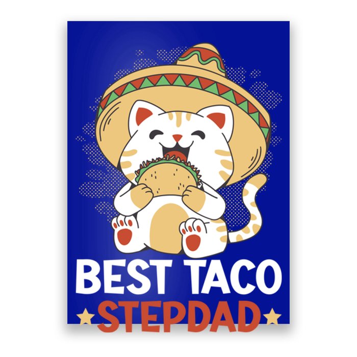 Best Taco Stepdad With A Cat For Father's Day Gift Poster