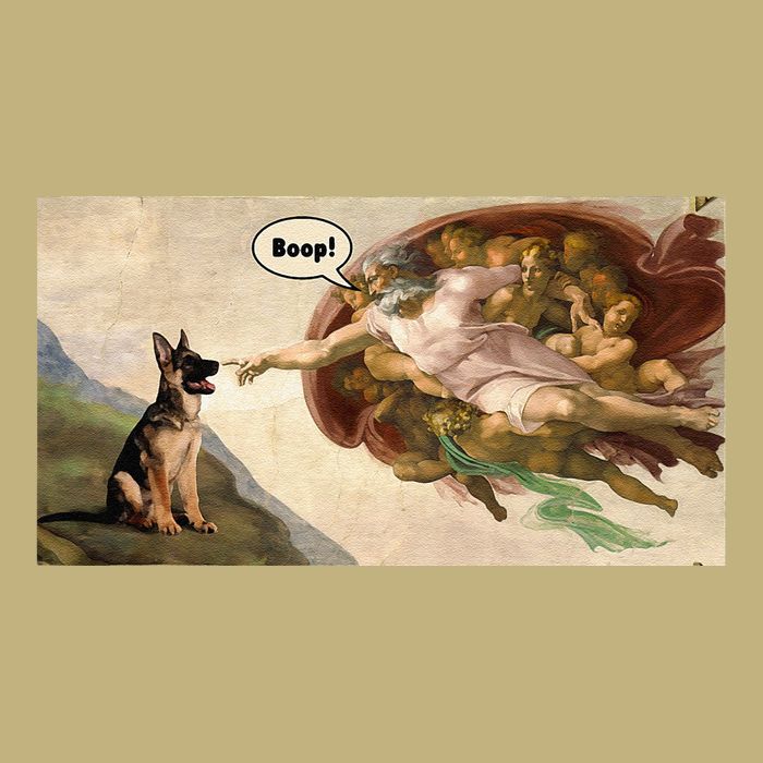 Boop The Snoot Of A German Shepherd Funny Dog Meme Button