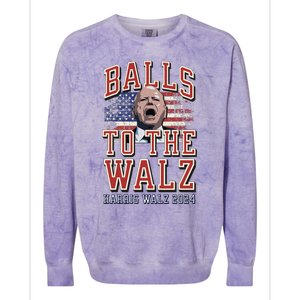 Balls To The Walz Tim Walz For Vp Walz And Harris Vote 47 Colorblast Crewneck Sweatshirt