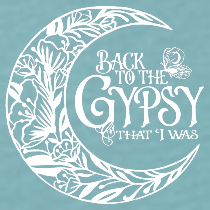 Back To The Gypsy That I Was Sueded Cloud Jersey T-Shirt