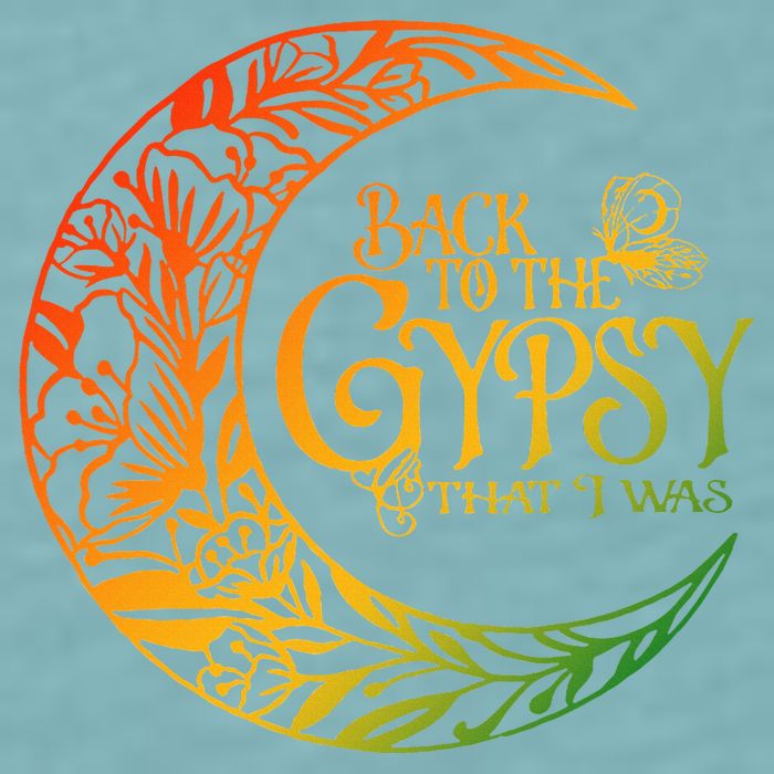 Back To The Gypsy That I Was Apparel Sueded Cloud Jersey T-Shirt
