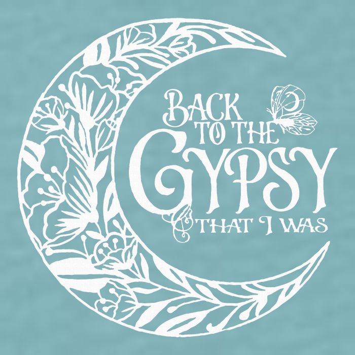 Back to The Gypsy That I Was Sueded Cloud Jersey T-Shirt