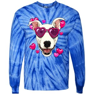 Bull Terrier Valentines Day Heart Dog Lover Gift Tie-Dye Long Sleeve Shirt