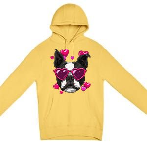 Boston Terrier Valentines Day Heart Dog Lover Gift Premium Pullover Hoodie