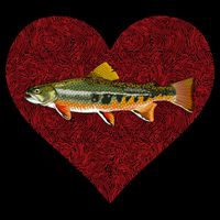 Brook Trout Valentines Day Fish Love Fingerprint Funny Gift Cooling Performance Crew T-Shirt