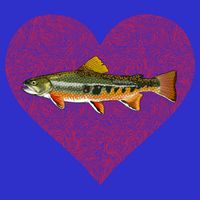 Brook Trout Valentines Day Fish Love Fingerprint Funny Gift 16 in Basic Backpack