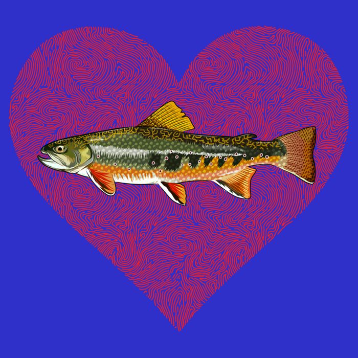 Brook Trout Valentines Day Fish Love Fingerprint Funny Gift 16 in Basic Backpack