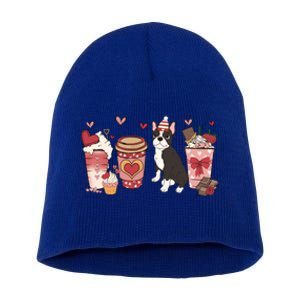 Boston Terrier Valentines Day Dog Mom Coffee Lovers Gift Short Acrylic Beanie