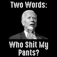 Biden Two Words Who Shit My Pants Funny Antibiden Sustainable Bucket Hat