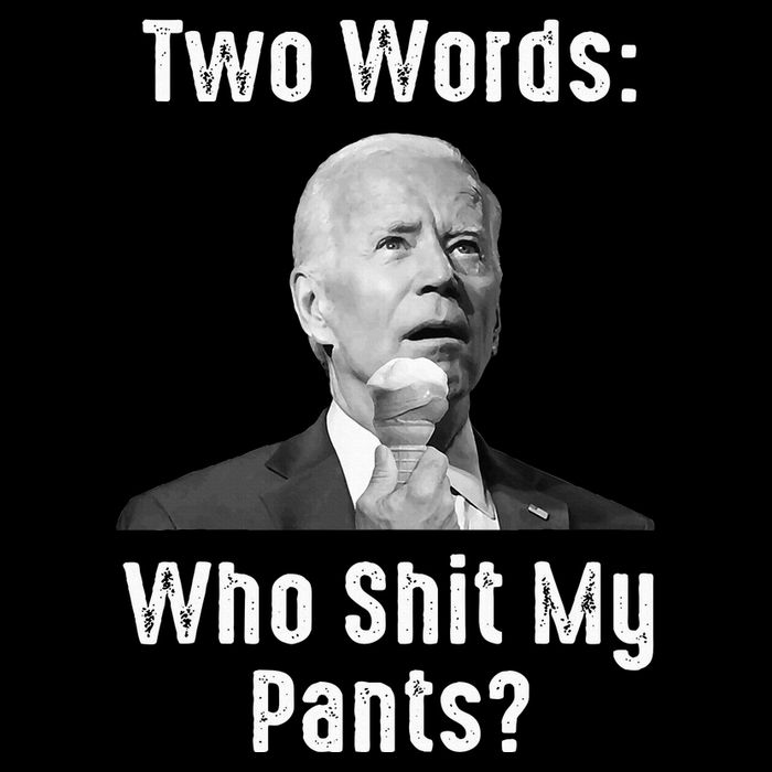 Biden Two Words Who Shit My Pants Funny Antibiden Sustainable Bucket Hat