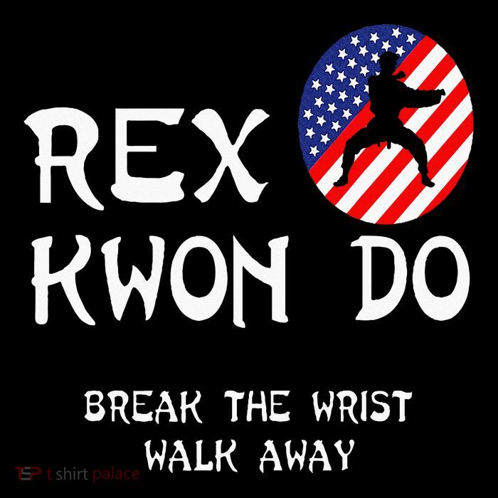 Break The Wrist Walk Away Rex Kwon Do Womens T-Shirt