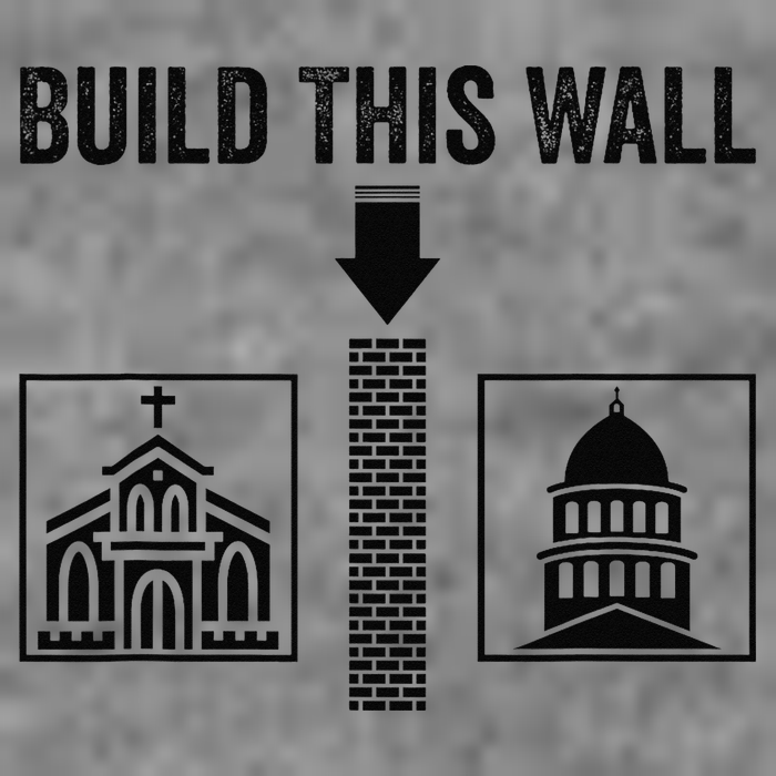 Build This Wall Separation of Church And State USA Sustainable Beanie