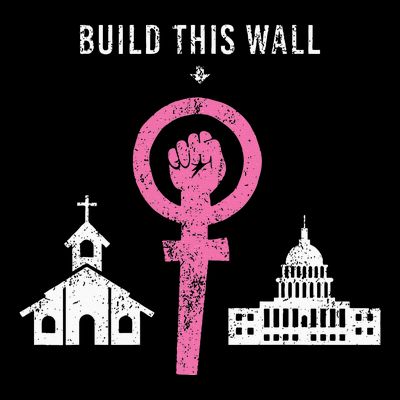 Build This Wall Separate Church And State T-Shirt