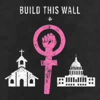 Build This Wall Separate Church And State Adult Drive Performance Visor