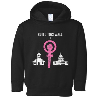 Build This Wall Separate Church And State Toddler Hoodie