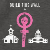 Build This Wall Separate Church And State Vector Backpack