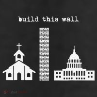 Build This Wall Ironic Separate Church and State Adult Drive Performance Visor