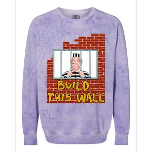 Build This Wall Lock Him Up Anti Trump Impeachment 45 Colorblast Crewneck Sweatshirt