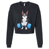 Boston Terrier Weightlifting Cropped Pullover Crew