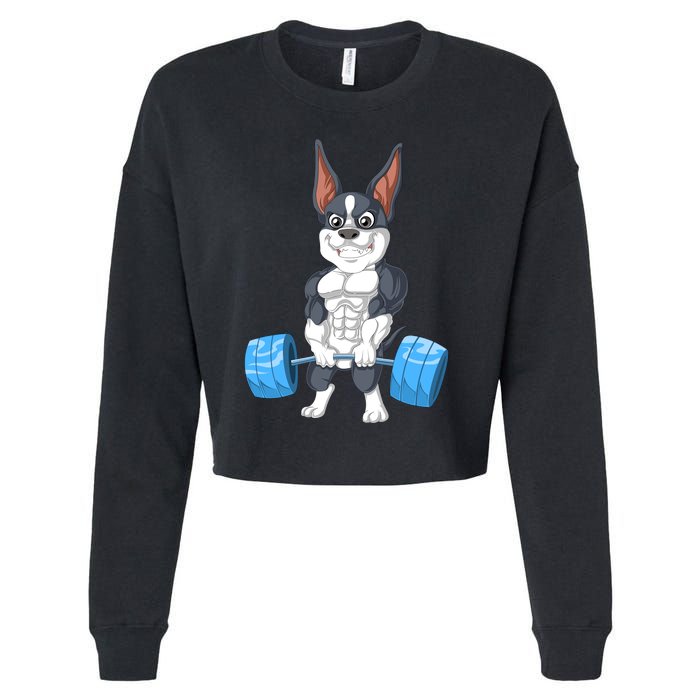 Boston Terrier Weightlifting Cropped Pullover Crew