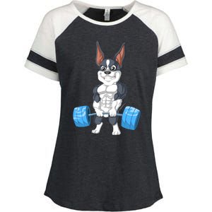 Boston Terrier Weightlifting Enza Ladies Jersey Colorblock Tee