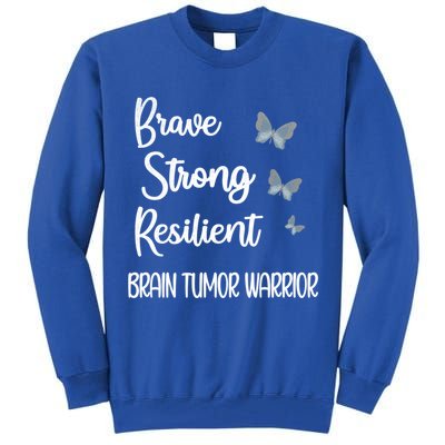 Brain Tumor Warrior Brain Cancer Awareness Gray Ribbon Gift Tall Sweatshirt