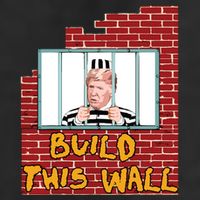 Build This Wall Lock Him Up Anti Trump Impeachment 45 7 Panel Mesh Trucker Snapback Hat