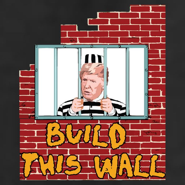 Build This Wall Lock Him Up Anti Trump Impeachment 45 7 Panel Mesh Trucker Snapback Hat
