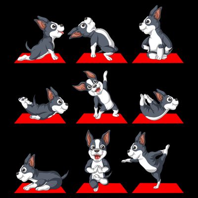 Boston Terrier Yoga T-Shirt