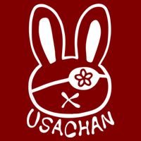 Buddha Usachan Battle Of Ragnarok Record T-Shirt