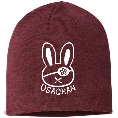 Buddha Usachan Battle Of Ragnarok Record Sustainable Beanie