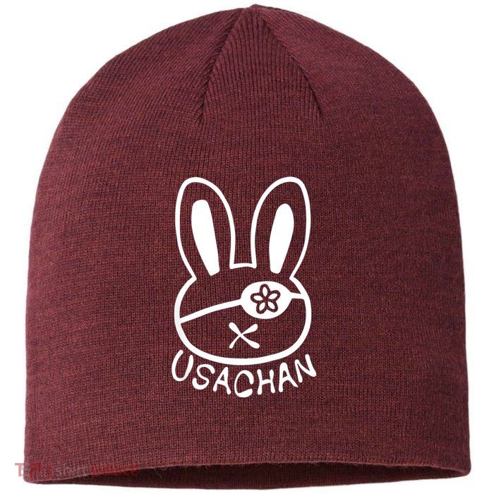 Buddha Usachan Battle Of Ragnarok Record Sustainable Beanie